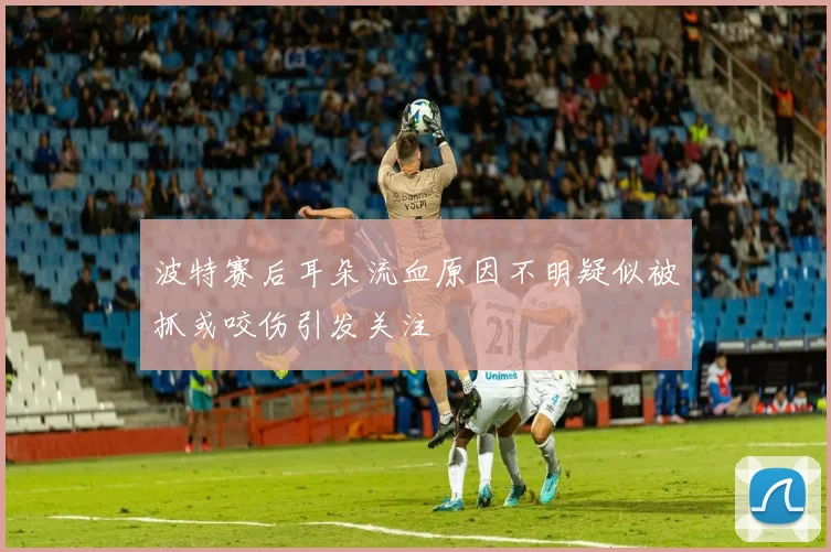 波特赛后耳朵流血原因不明疑似被抓或咬伤引发关注