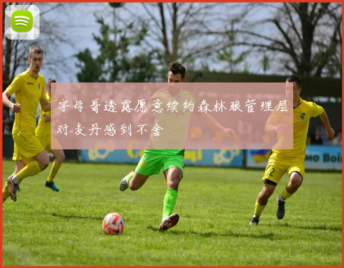 字母哥透露愿意续约森林狼管理层对麦丹感到不舍