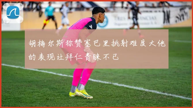 胡梅尔斯称赞塞巴里挑射难度大他的表现让拜仁青睐不已