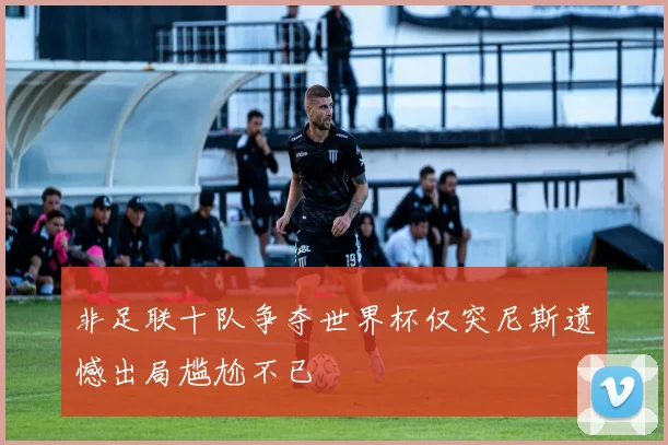 非足联十队争夺世界杯仅突尼斯遗憾出局尴尬不已